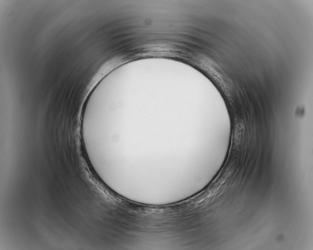 X0000098121378200805021146