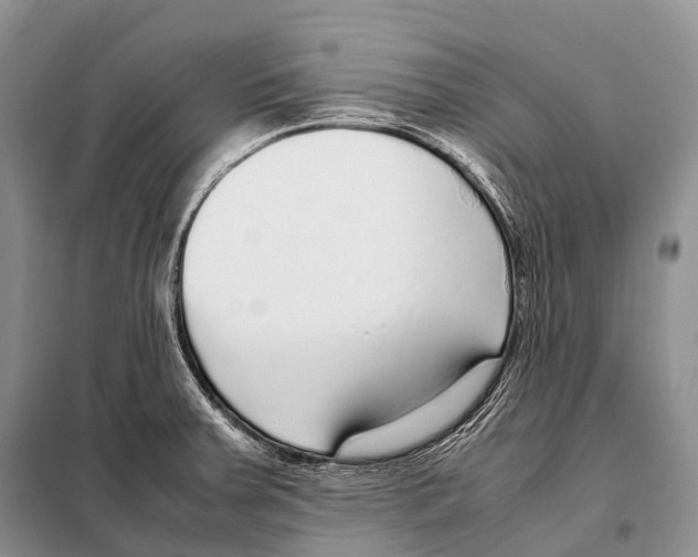 X0000098121379200805021146