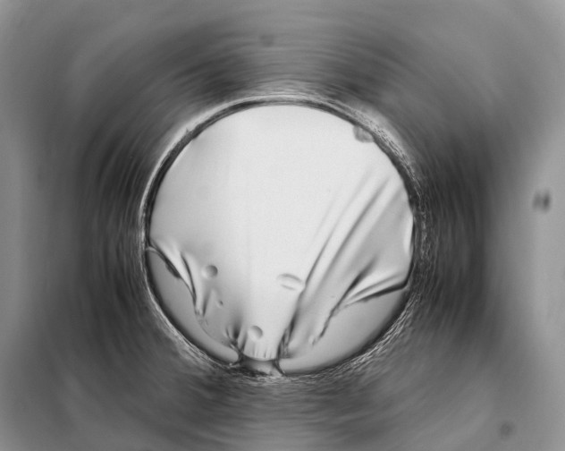 X0000098121380200805021146