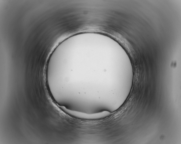 X0000098121382200805021146