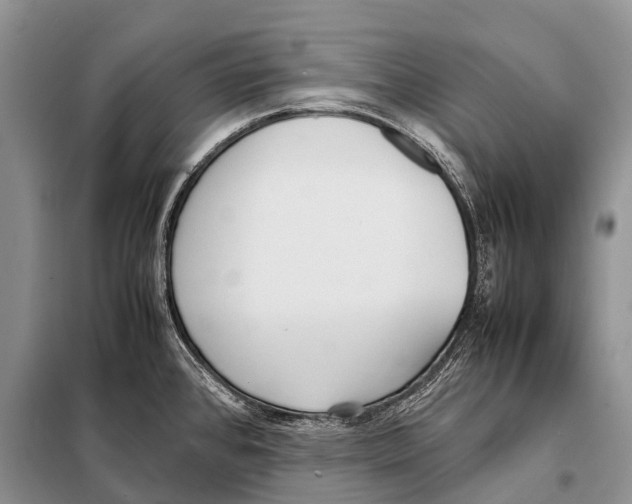 X0000098121384200805021146