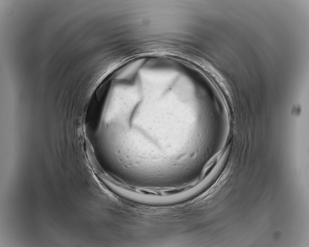 X0000098121385200805021146