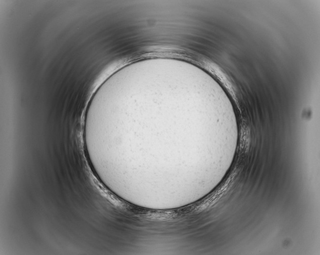 X0000098121386200805021146
