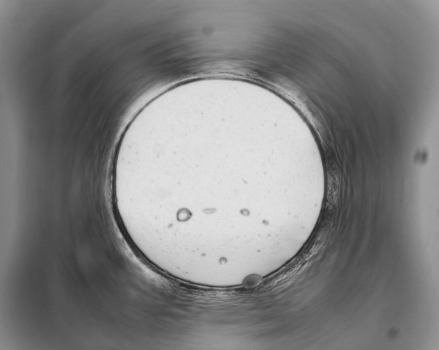 X0000098121387200805021146