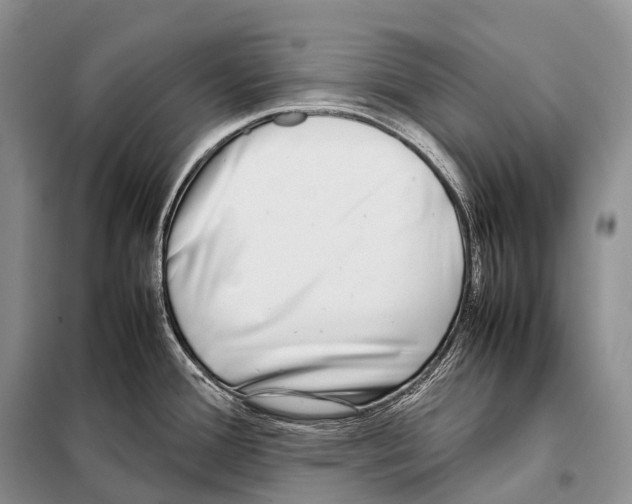 X0000098121388200805021146