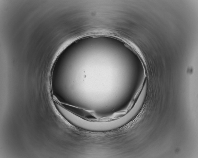 X0000098121389200805021146