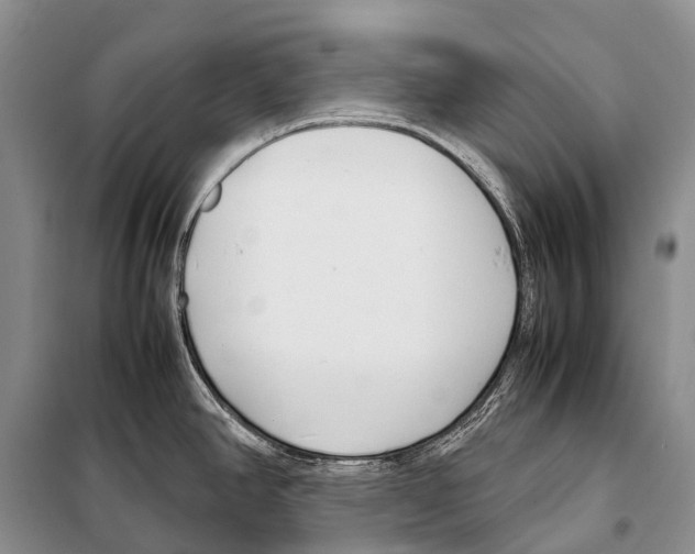 X0000098121390200805021146