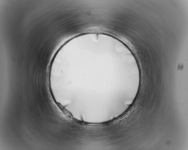 X0000098121392200805021146