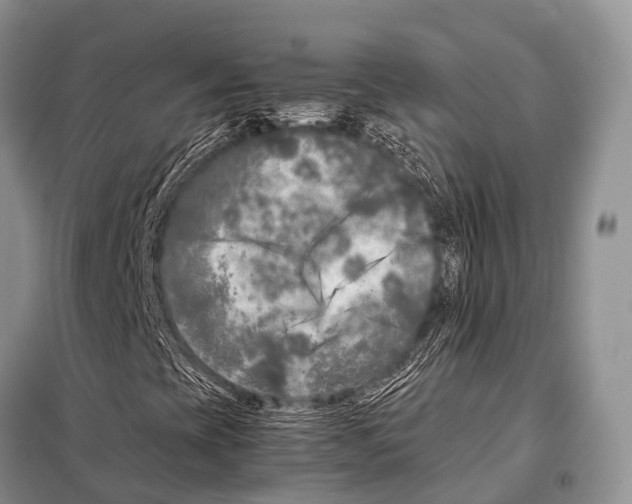 X0000098121393200805021145