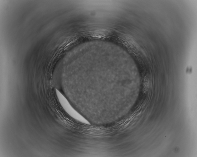 X0000098121394200805021145
