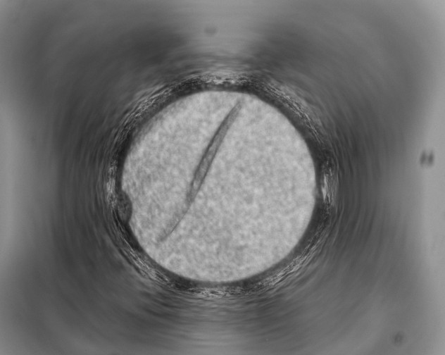X0000098121396200805021145