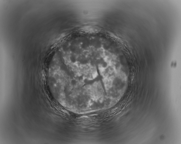 X0000098121397200805021145