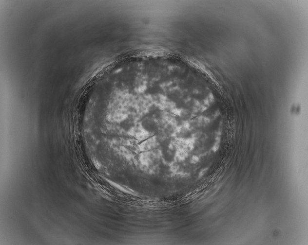 X0000098121399200805021145