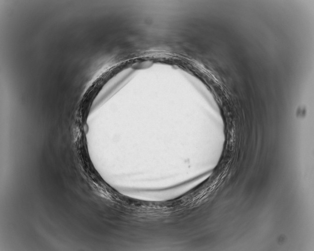 X0000098121400200805021145