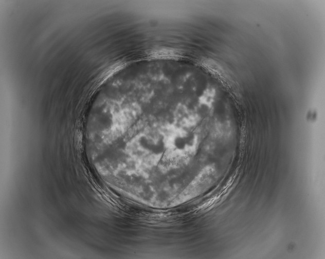 X0000098121401200805021145
