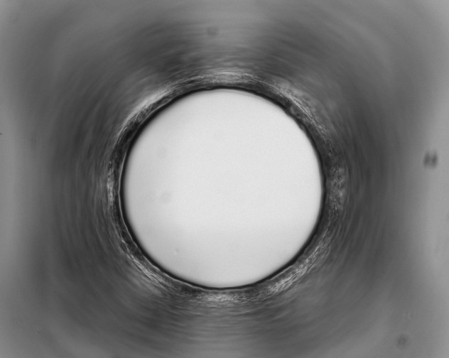 X0000098121402200805021145