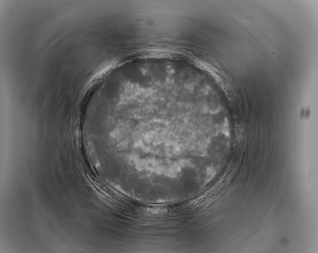 X0000098121403200805021145