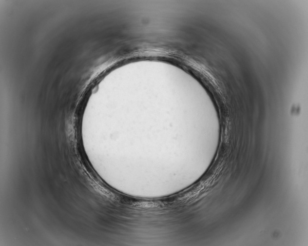 X0000098121404200805021145