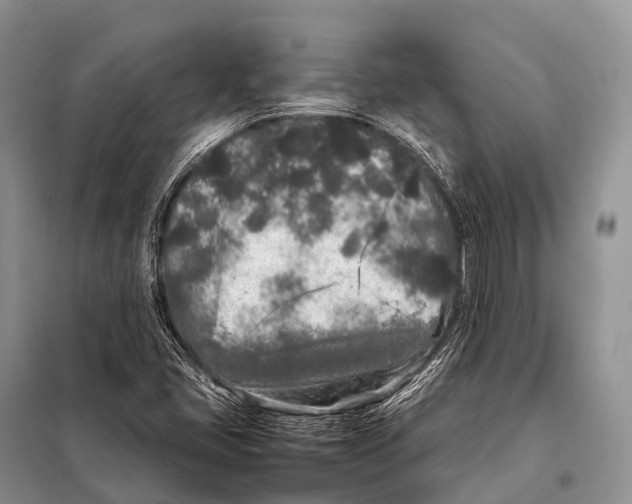 X0000098121405200805021145