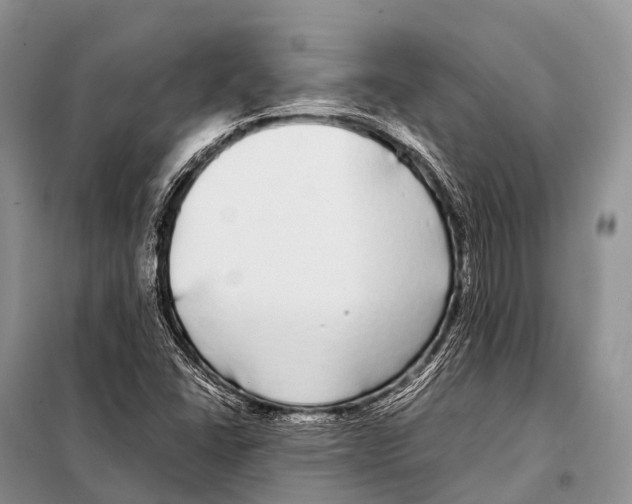 X0000098121406200805021145