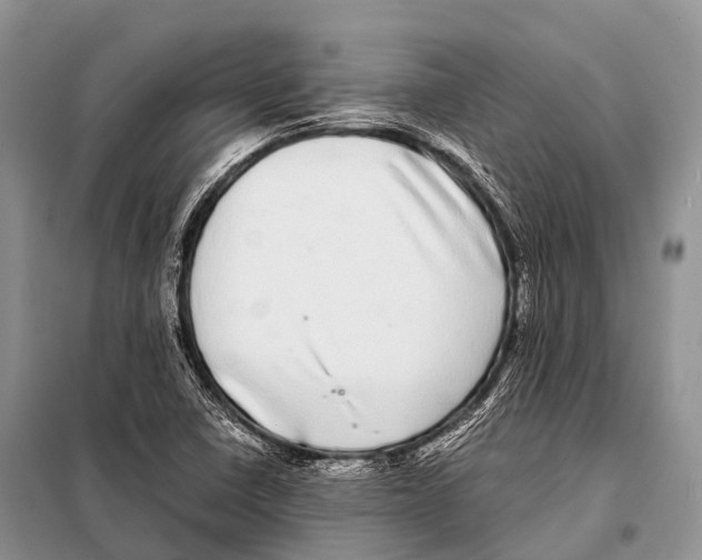 X0000098121410200805021145