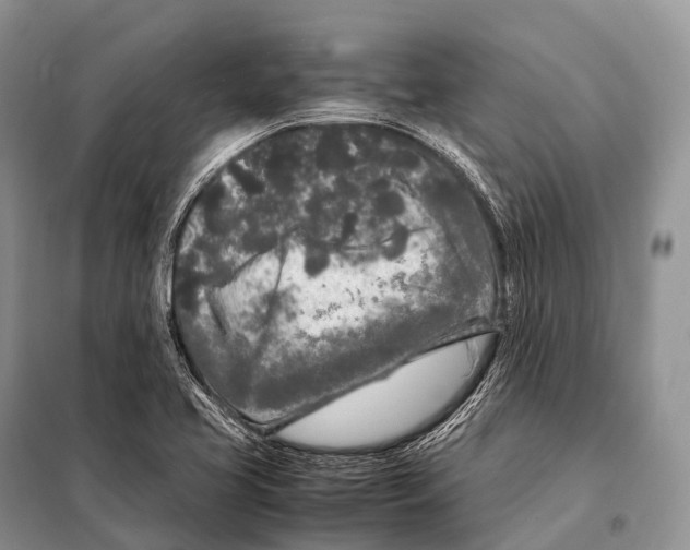 X0000098121413200805021145
