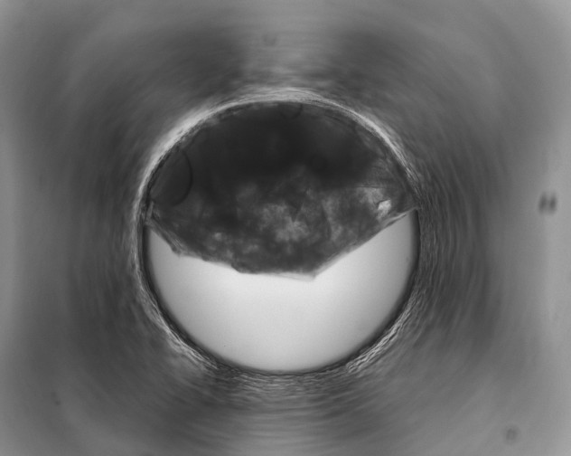X0000098121414200805021145