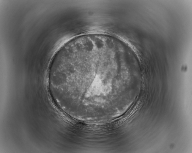 X0000098121415200805021145