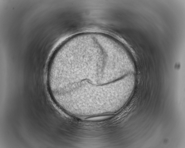 X0000098121416200805021145