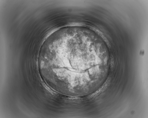X0000098121417200805021145