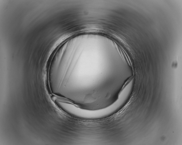 X0000098121418200805021145