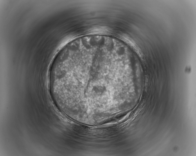 X0000098121419200805021145