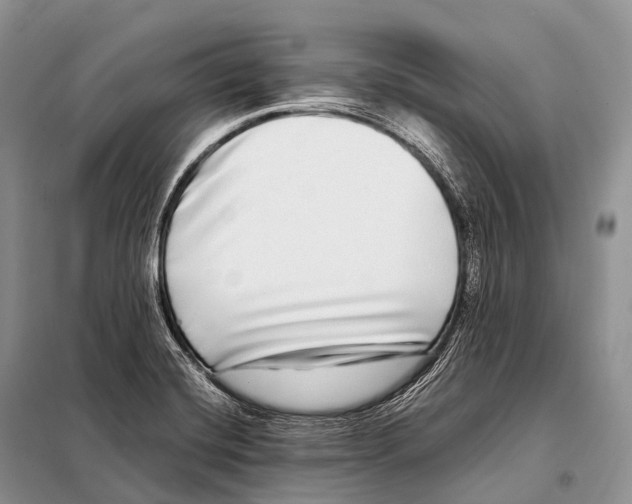 X0000098121420200805021145