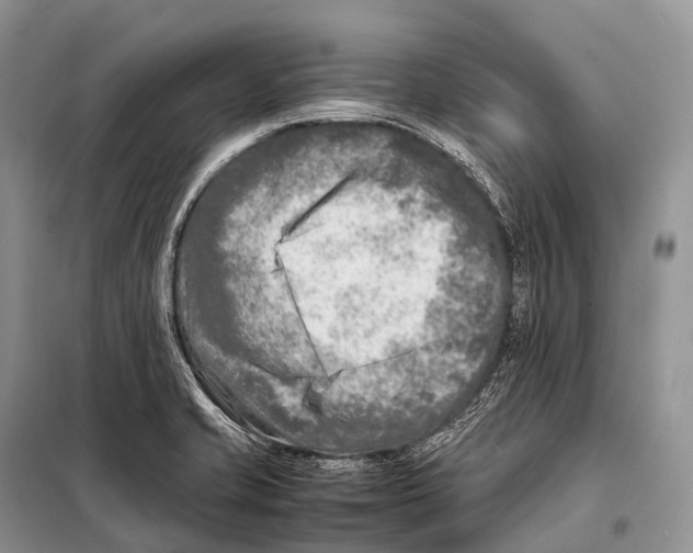 X0000098121421200805021145