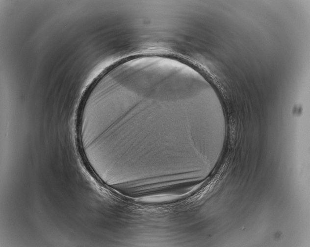 X0000098121422200805021145