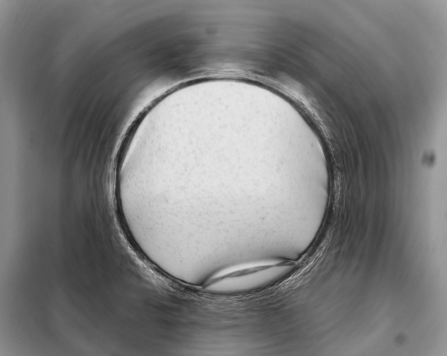 X0000098121424200805021145