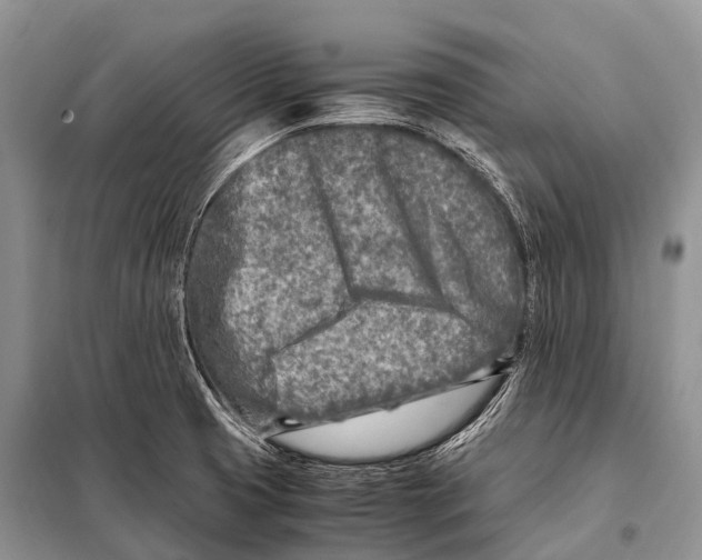 X0000098121425200805021146