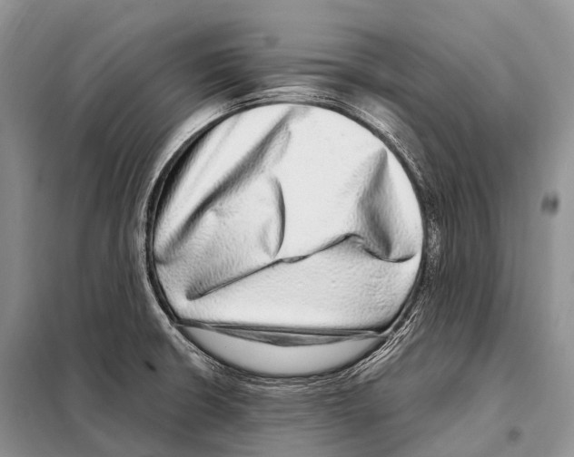 X0000098121426200805021146