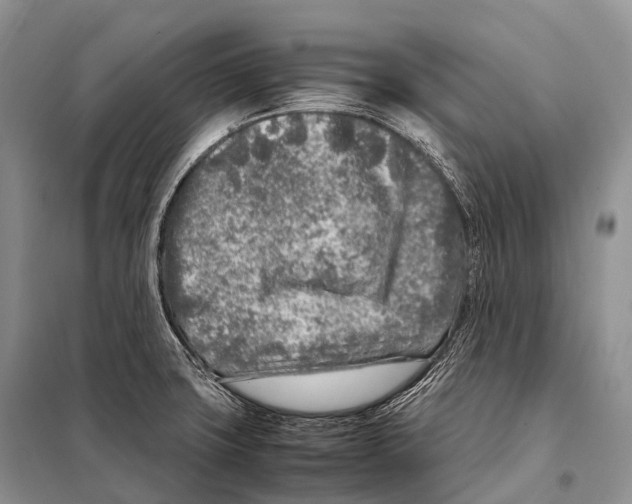 X0000098121427200805021146