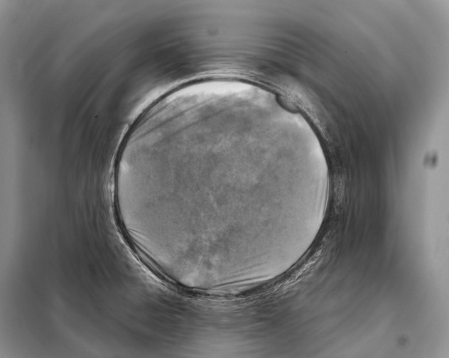 X0000098121428200805021146