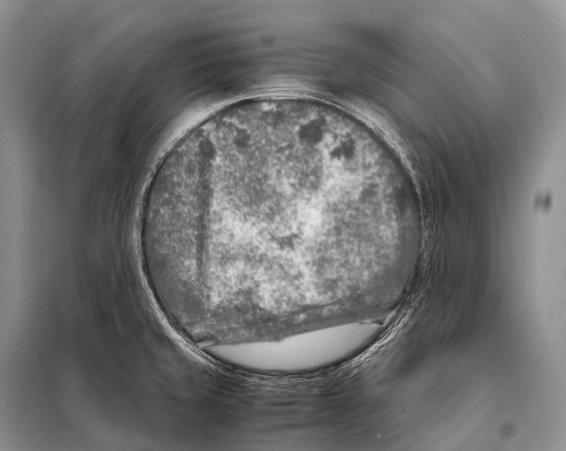 X0000098121429200805021146