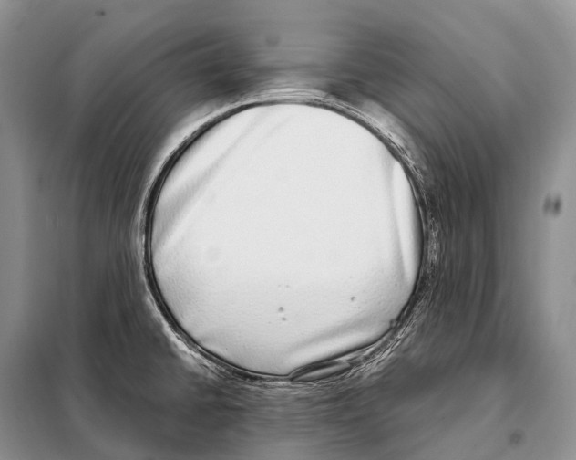 X0000098121430200805021146