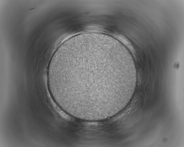 X0000098121431200805021146
