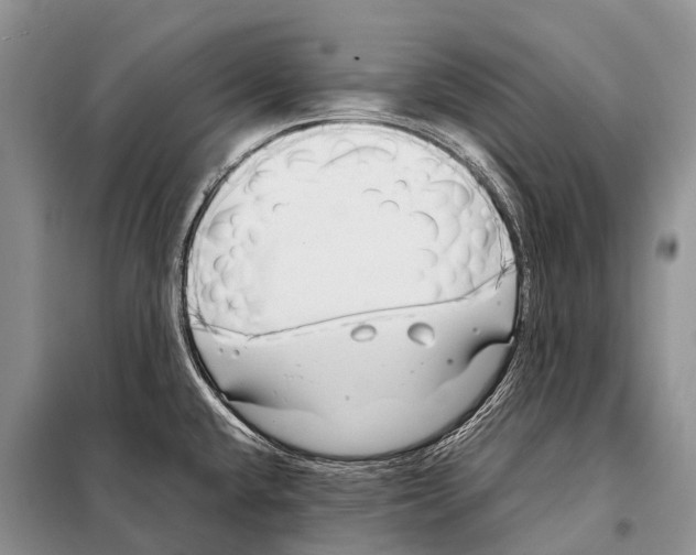 X0000098121432200805021146