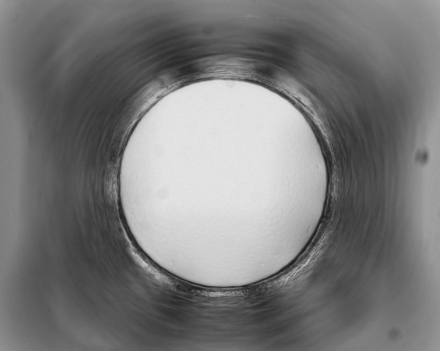 X0000098121433200805021146