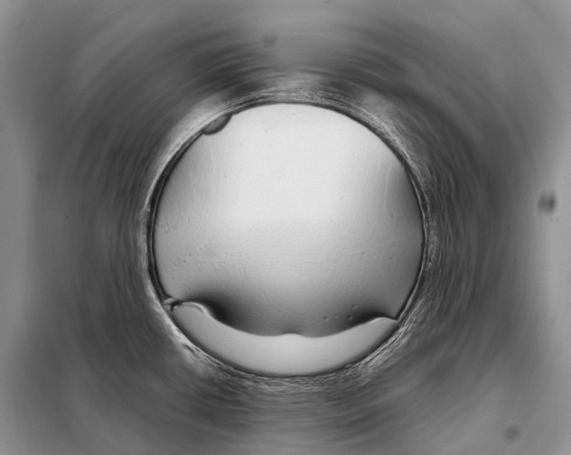 X0000098121434200805021146
