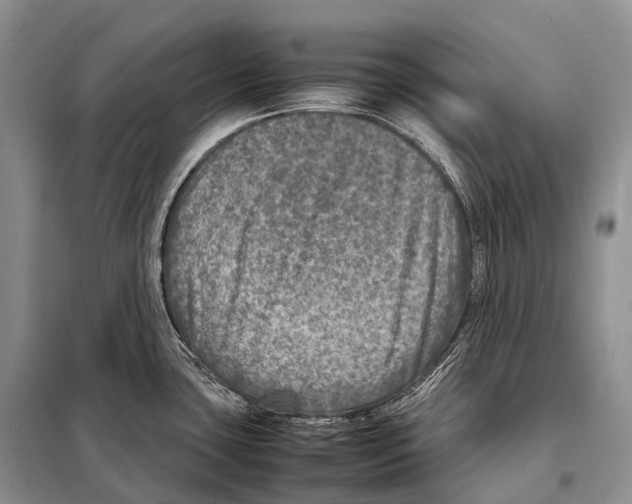 X0000098121435200805021146