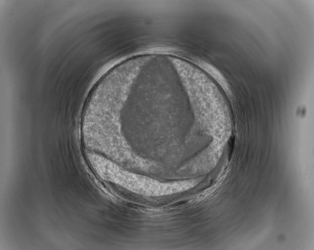 X0000098121436200805021146