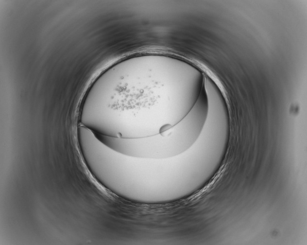 X0000098121437200805021146