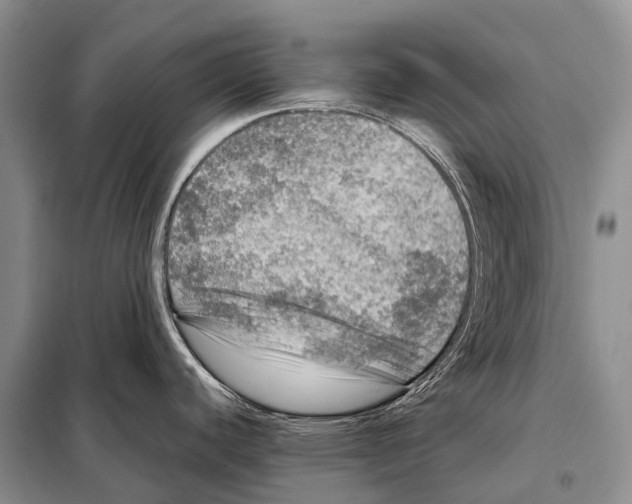 X0000098121440200805021146